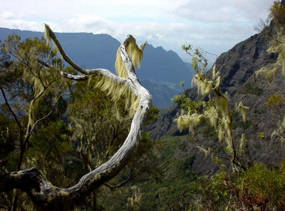Traversée de la réunion - barbe st antoine .