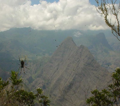 traversée de la réunion insolite