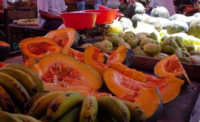 couleurs et senteurs de la Réunion .