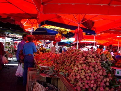 couleurs et senteurs de la Réunion .