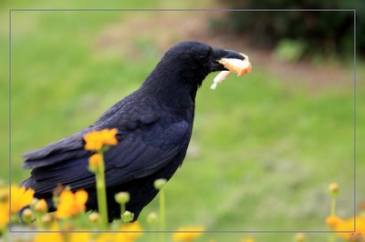 Résultat de recherche: C'est pour moi, na!!!!