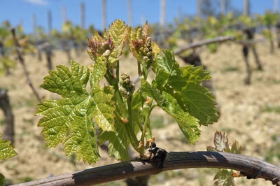 Œuvre de Le Menet: LePrintemps