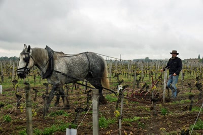 Œuvre de Le Menet: Bords de Garonne