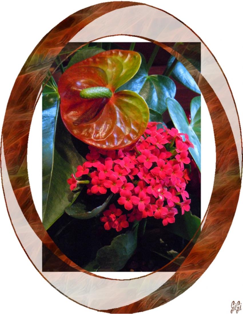 Quelques fleurs.....