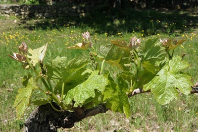 Œuvre de Le Menet: Bords de Garonne
