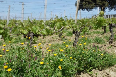 Œuvre de Le Menet: Bords de Garonne