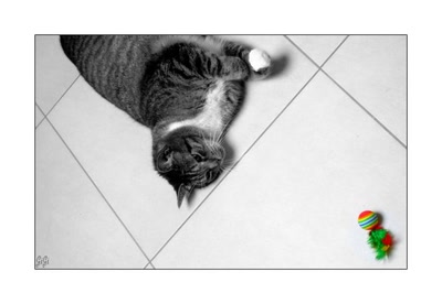 Résultat de recherche: La balle.