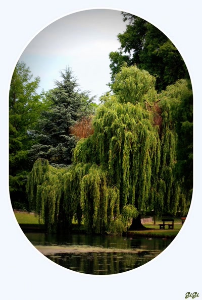 Résultat de recherche: Cadre enchanteur.