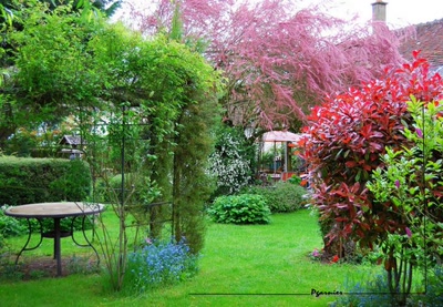 Œuvre de Pgarnier: Jardin de printemps