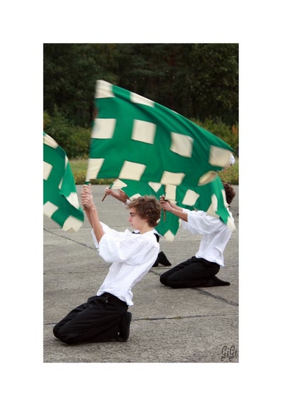 Œuvre de GiGine: Drapeaux.