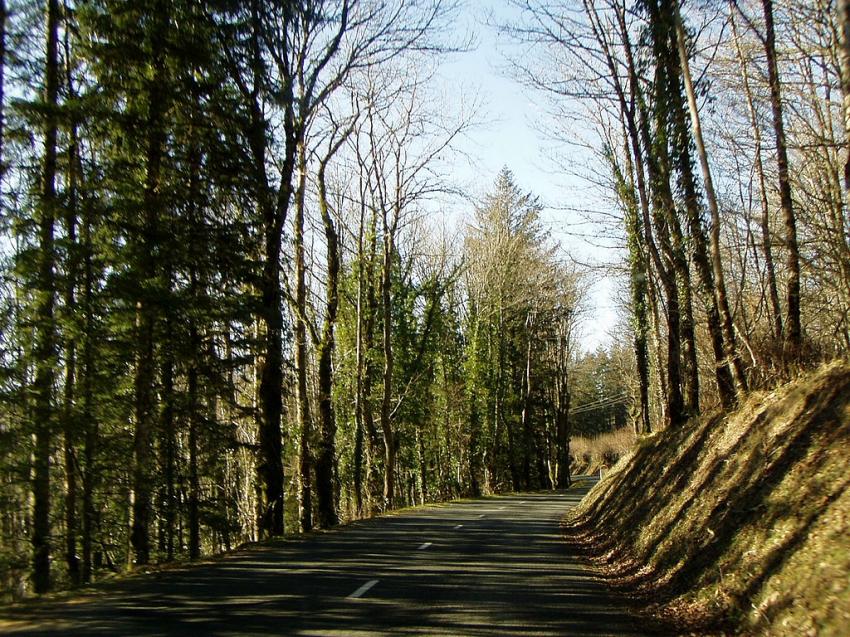 rte  boisee vers brassac