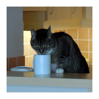 Résultat de recherche: Grande soif !!!!!