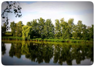 Résultat de recherche: Reflets.....