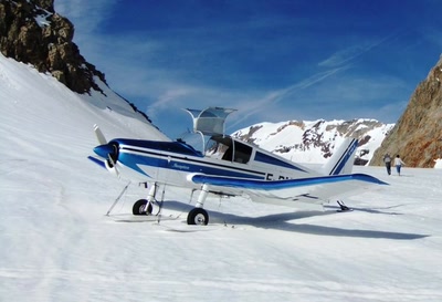 Mousquetaire posé sur le glacier