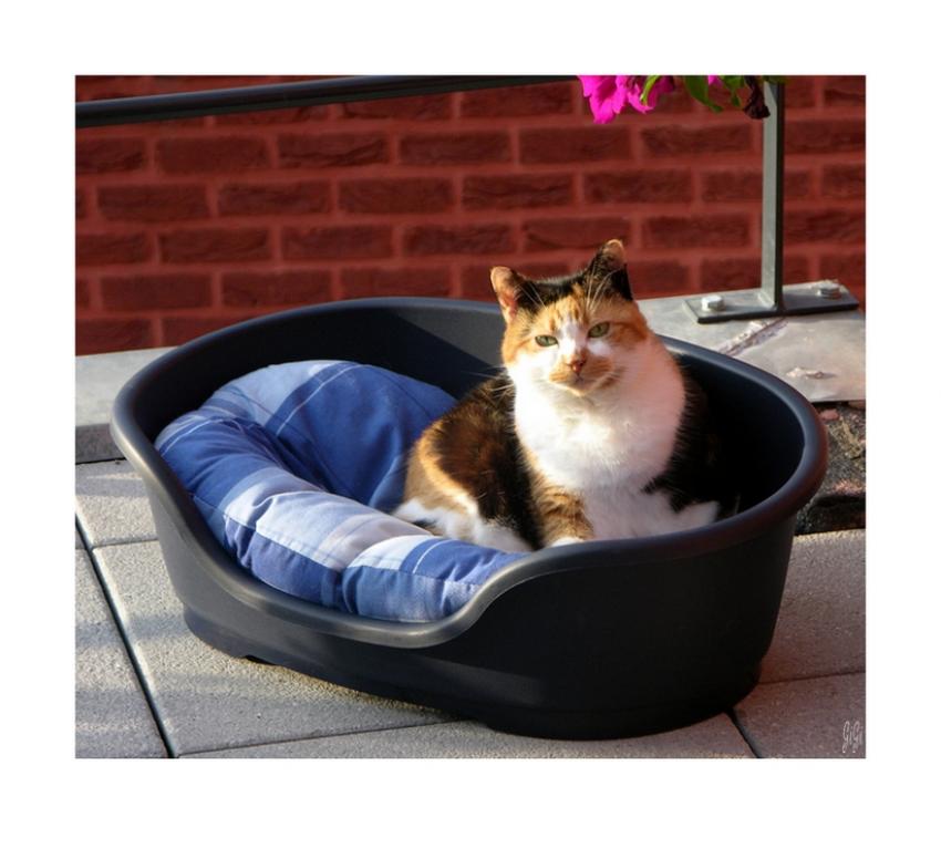 C'était...............................