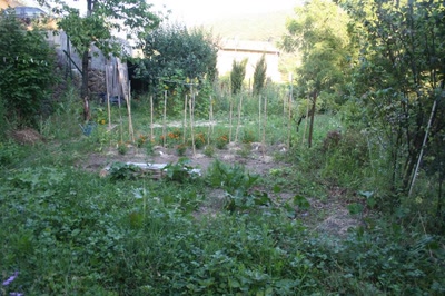 Œuvre de elisabeth34: jardin