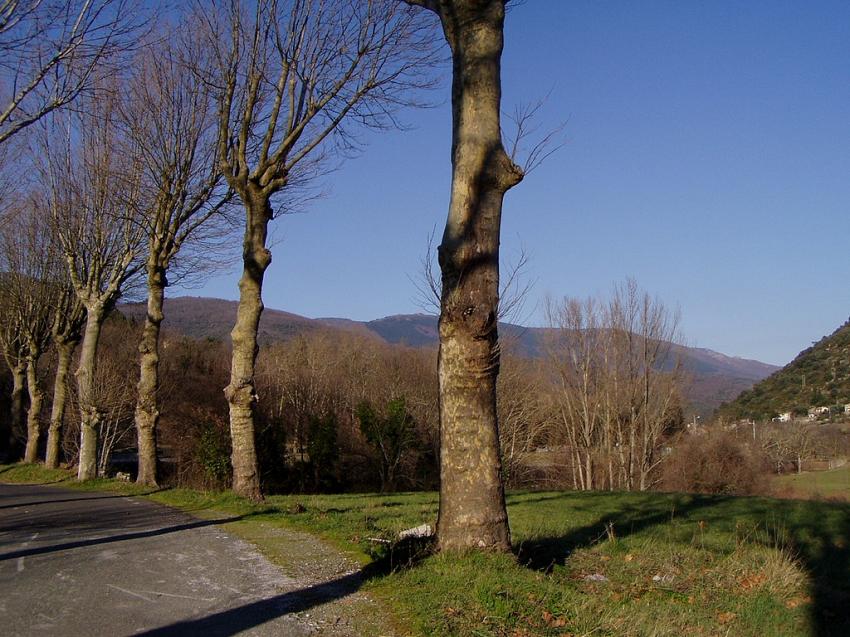 piqie nique vers bedarieux