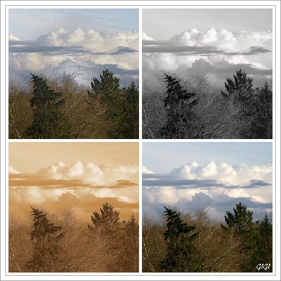 Dans les nuages.......