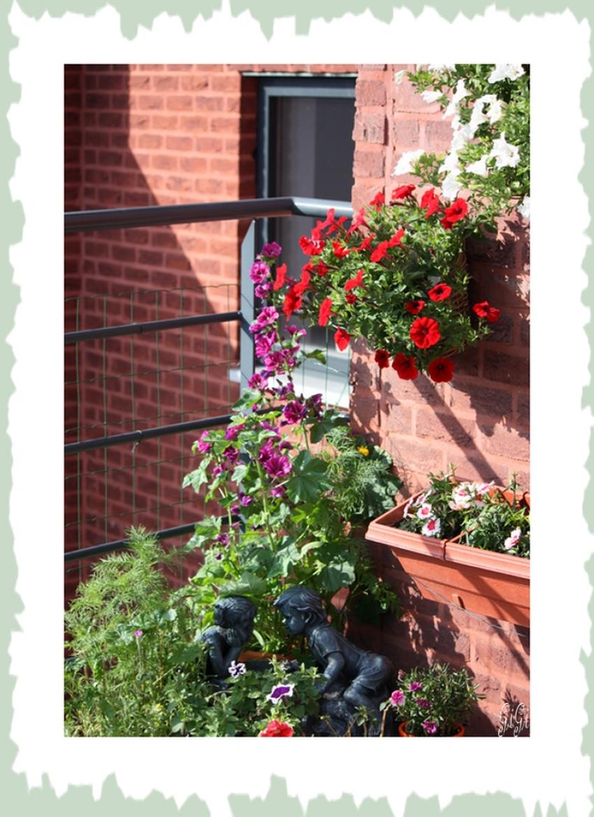 Coin de terrasse fleuri.