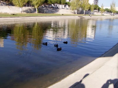 Résultat de recherche: le lez montpellier