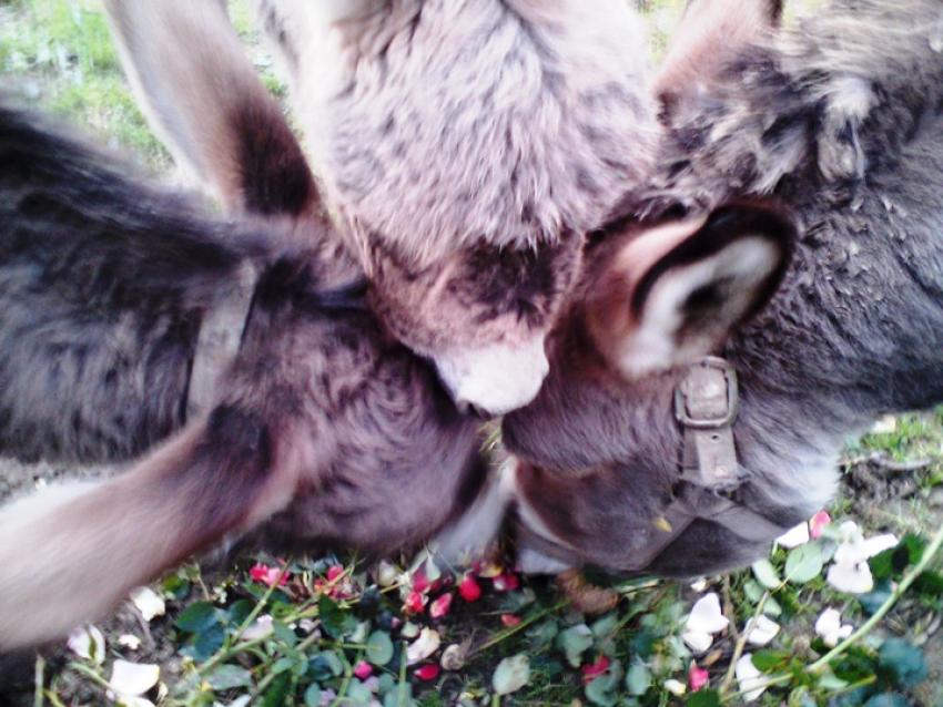 à 3 c'est meilleurs !