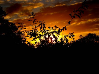 Œuvre de dedem: Coucher de soleil d'automne