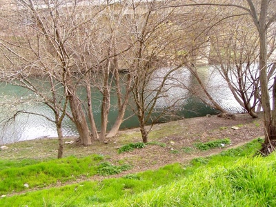 Résultat de recherche: bord du lez montpellier