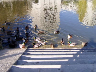 Résultat de recherche: bord du lez montpellier