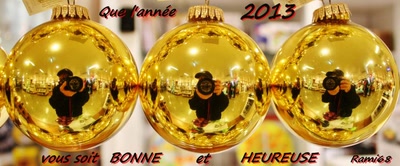 Bonne année