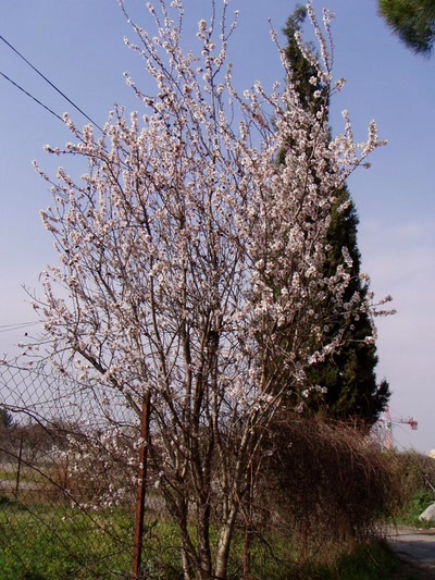 Résultat de recherche: chemin montpellier