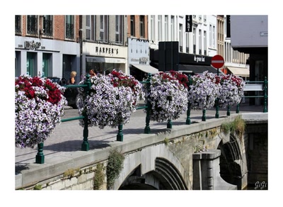 Ville fleurie, Lier.