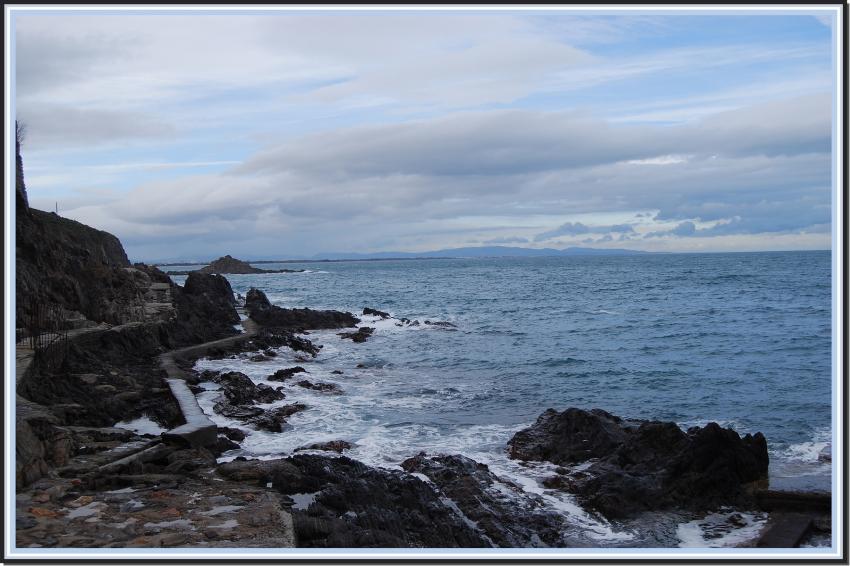 La Méditerranée à Collioure (66)