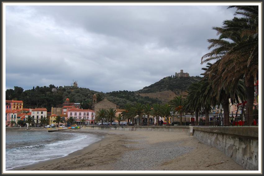 Plage à Collioure (66)