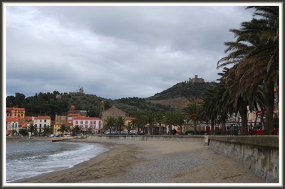 Plage à Collioure (66)