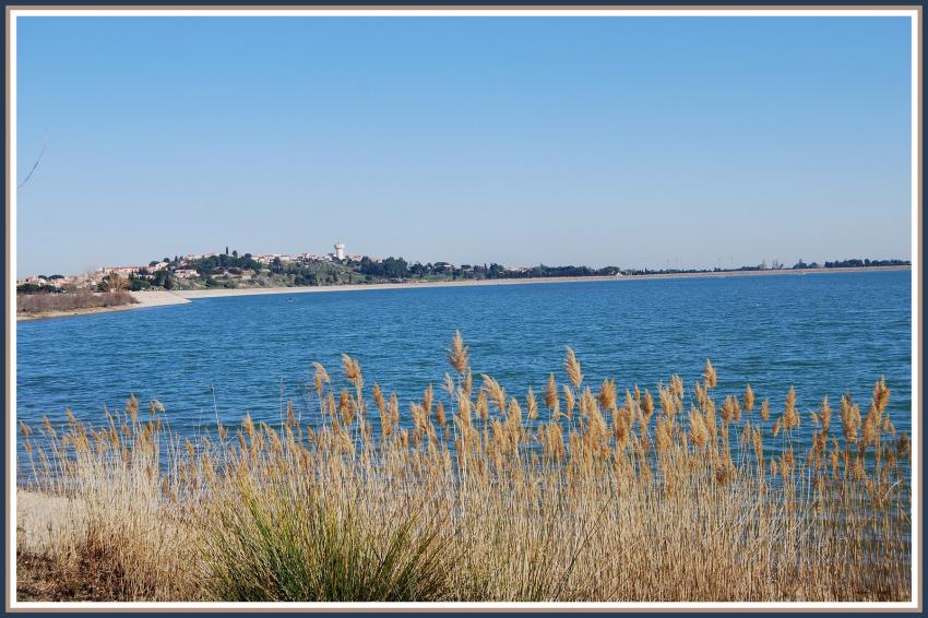 Villeneuve de la Raho (66)