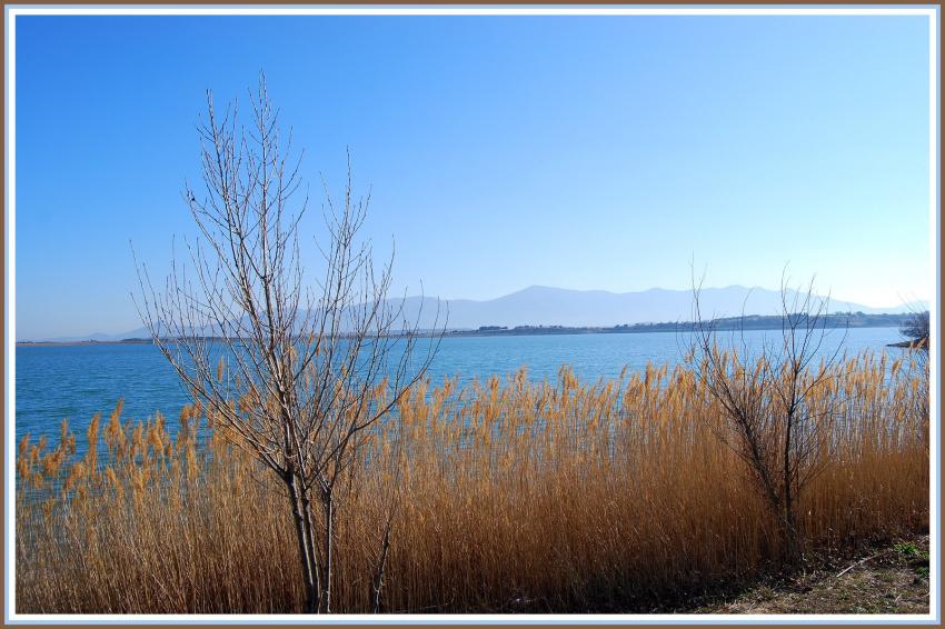 Villeneuve de la Raho (66)