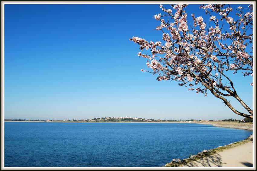 Villeneuve de la Raho (66)