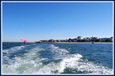 Dans le bassin d'Arcachon