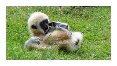 Résultat de recherche: Bébé