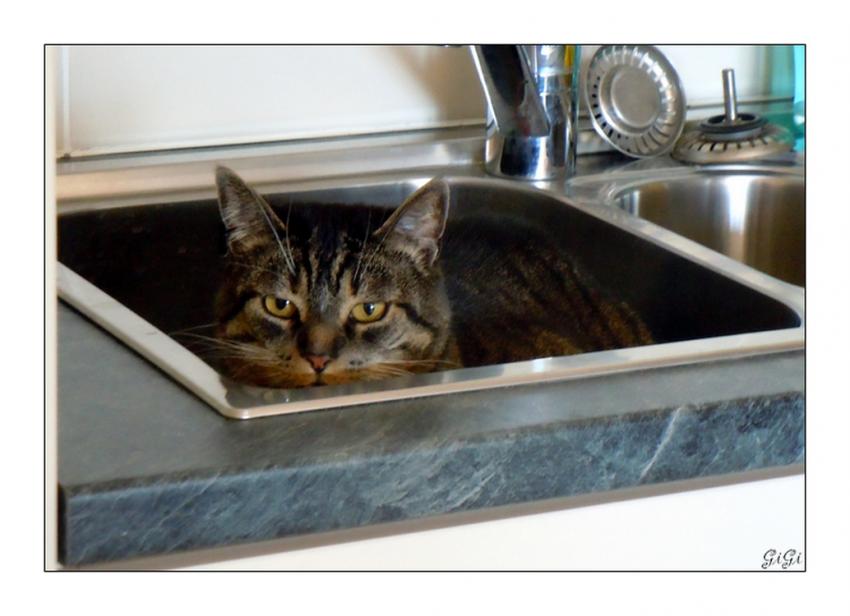 Les "folies" de Mysty