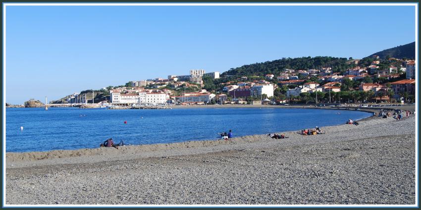 La plage de Banyuls (66)