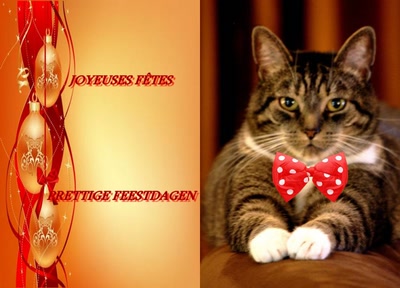 Joyeuses Fêtes