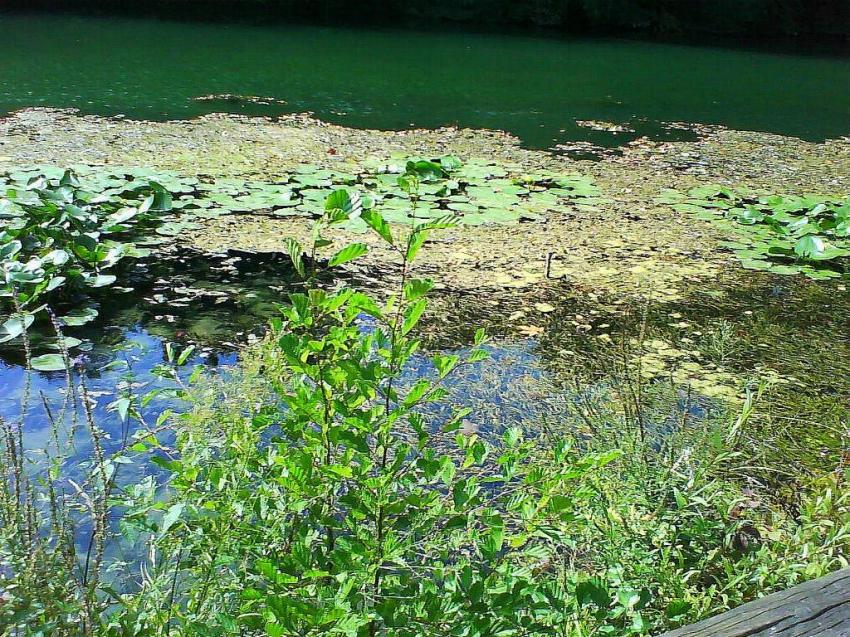 bord du lez montpellier