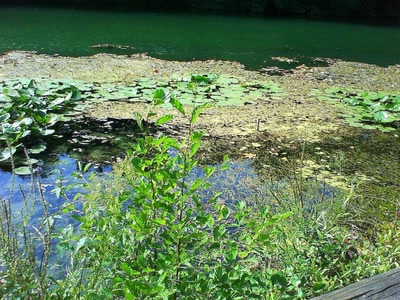 bord du lez montpellier