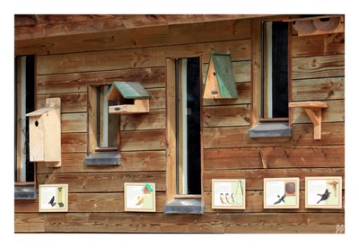 Œuvre de GiGine: Un toit pour chacun 