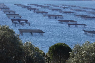 Œuvre de lumieres: Etang de Mer