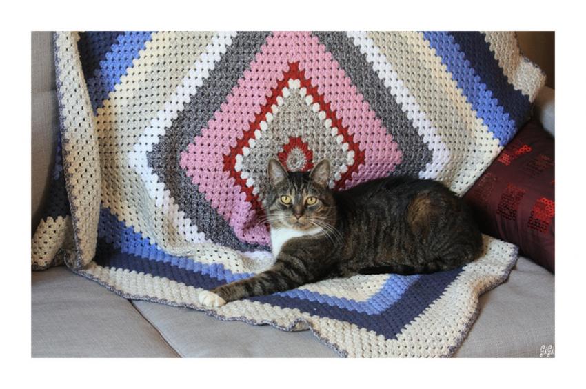 Vacances... c'est terminé !!!!!!!!!!!!!!