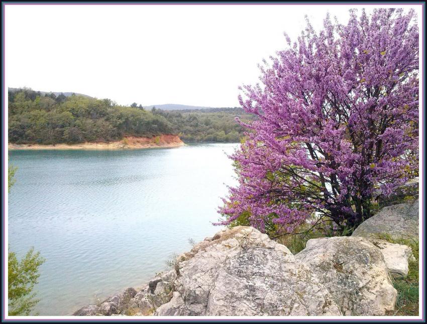 Lac de Sainte-Croix.