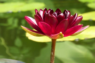 Œuvre de lumieres: Eclat