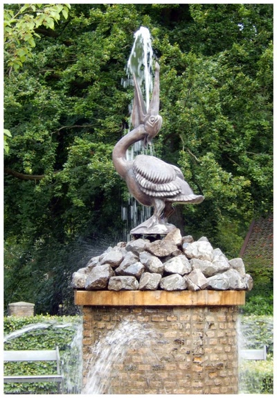 Un peu de fraîcheur !!!!!